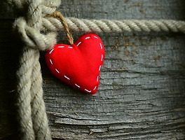 아티클관련커버