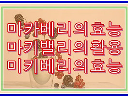 썸이미지