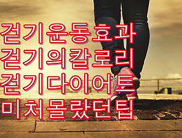 썸네일이미지2