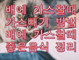 썸이미지