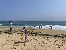 article_related_rep_thumbnail