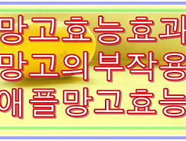 썸네일링크
