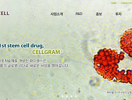 아티클관련커버