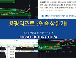 아티클관련커버