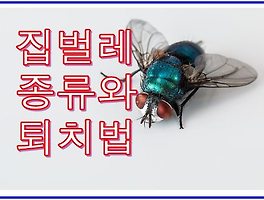 썸네일링크
