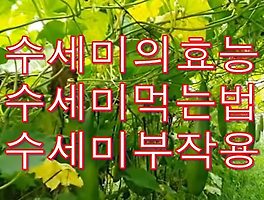 썸네일이미지2