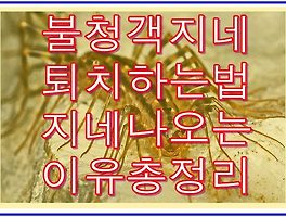 썸네일이미지2