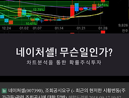 아티클관련커버