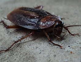 썸이미지