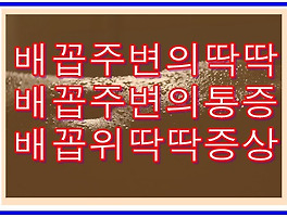 썸네일링크