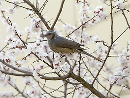 썸이미지2
