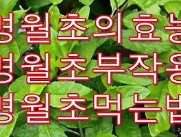 썸네일링크