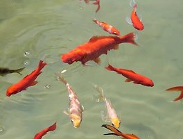 썸네일이미지2