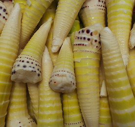 꼬꼬의 영어 수업 39 Page 꼬꼬의 영어 수업