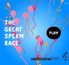 정자 레이싱 (The Great Sperm Race)