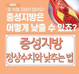 중성지방-낮추는-방법-알아보기