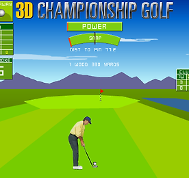 3D 챔피언쉽 골프 (3D Championship Golf)