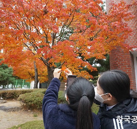 링크 바로가기