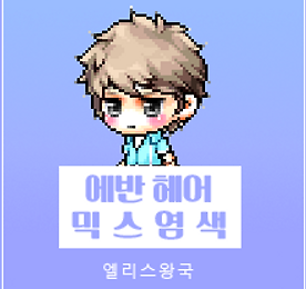 메이플 믹스염색표 :: 에반 헤어 믹염, 에반 믹스염색