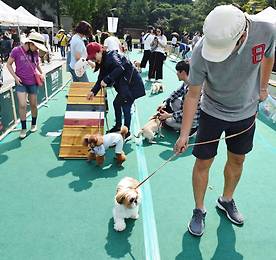 링크 바로가기