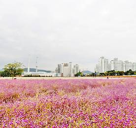 링크 바로가기