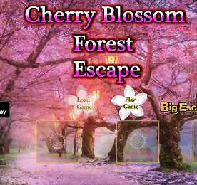 BIG 벚꽃숲 탈출 (BIG Cherry Blossom Forest Escape)