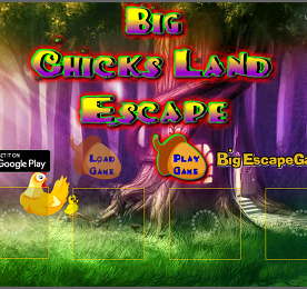BEG 꼬꼬랜드 탈출 (Big Chicks Land Escape)
