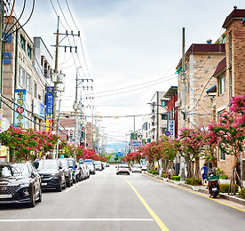 링크 바로가기