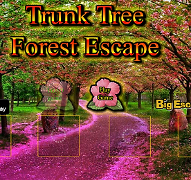 BIG 트렁크 트리 포레스트 이스케이프 (BIG Trunk Tree Forest Escape)