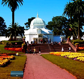 MIRCHI 골든 게이트 파크 탈출 (Golden Gate Park)