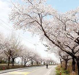 링크 바로가기