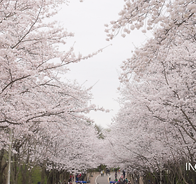 링크 바로가기