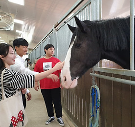 링크 바로가기