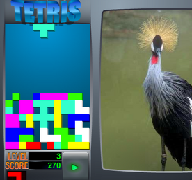 테트리스 - Tetris