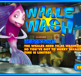 고래 씻기기 (Whale Wash)
