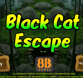 블랙 캣 이스케이프 (Black Cat Escape)