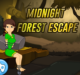 미드나이트 포레스트 이스케이프 (Midnight Forest Escape)