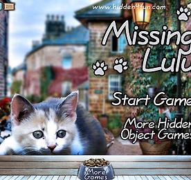 숨은그림찾기 - Missing Lulu
