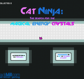 캣닌자 (Cat Ninja)