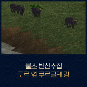 마비노기