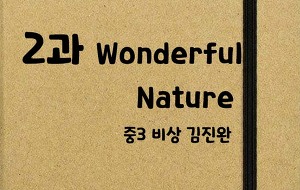 썸네일-[영어내신] 중3 비상 김진완 2과 정리본 (Wonderful Nature)
