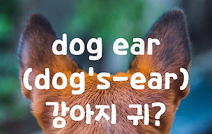 썸네일-dog ear, 강아지 귀? 이건 무슨 단어일까? [4]