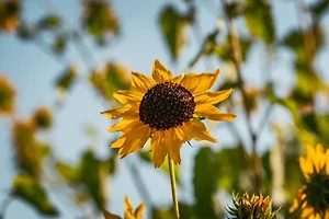 GDP 성장률 상승 요인과 하락 위험 요소는? 썸네일