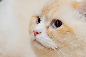 청약 가점제 점수 계산법과 추첨제 당첨 확률 높이는 법 썸네일