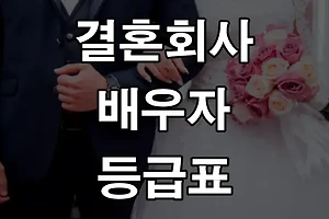결혼정보회사 등급표 알아보기 (직업, 연봉, 학력, 외모) 썸네일