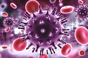 무료로 가능한 HIV 검사 프로그램, 혜택 총정리 썸네일