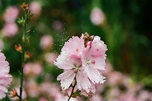 스트레칭 효과 제대로 보기 위한 시간대별 추천 루틴 공개 썸네일