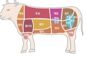 소고기 부위별 명칭과 용도 알아보기 썸네일
