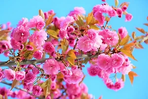 주식 양도소득세 대상과 세율, 신고 절차 알아보기 썸네일