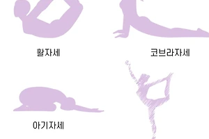 요가 초보자를 위한 기본 자세와 실천 방법 썸네일